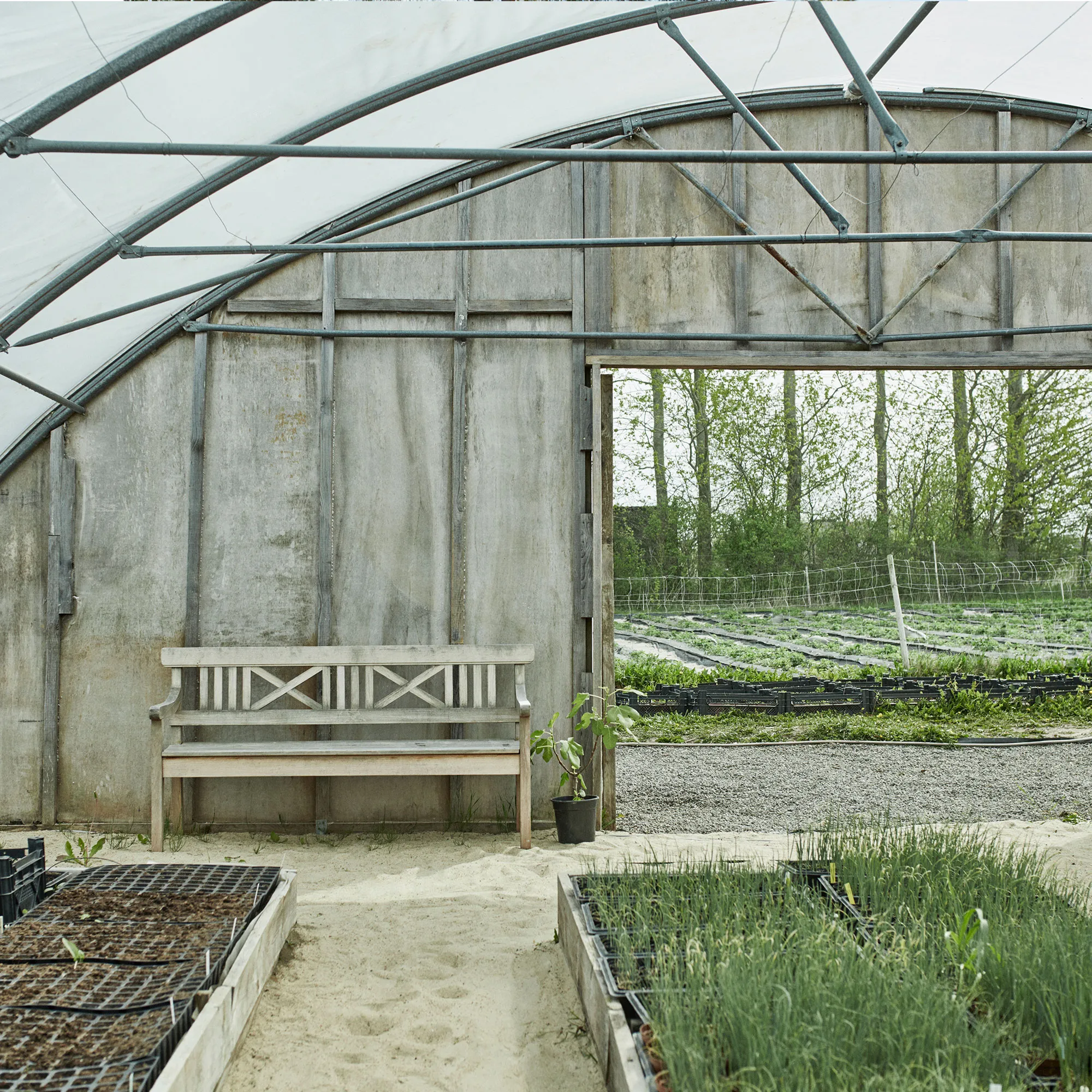 Drachmann tuinbank - 6