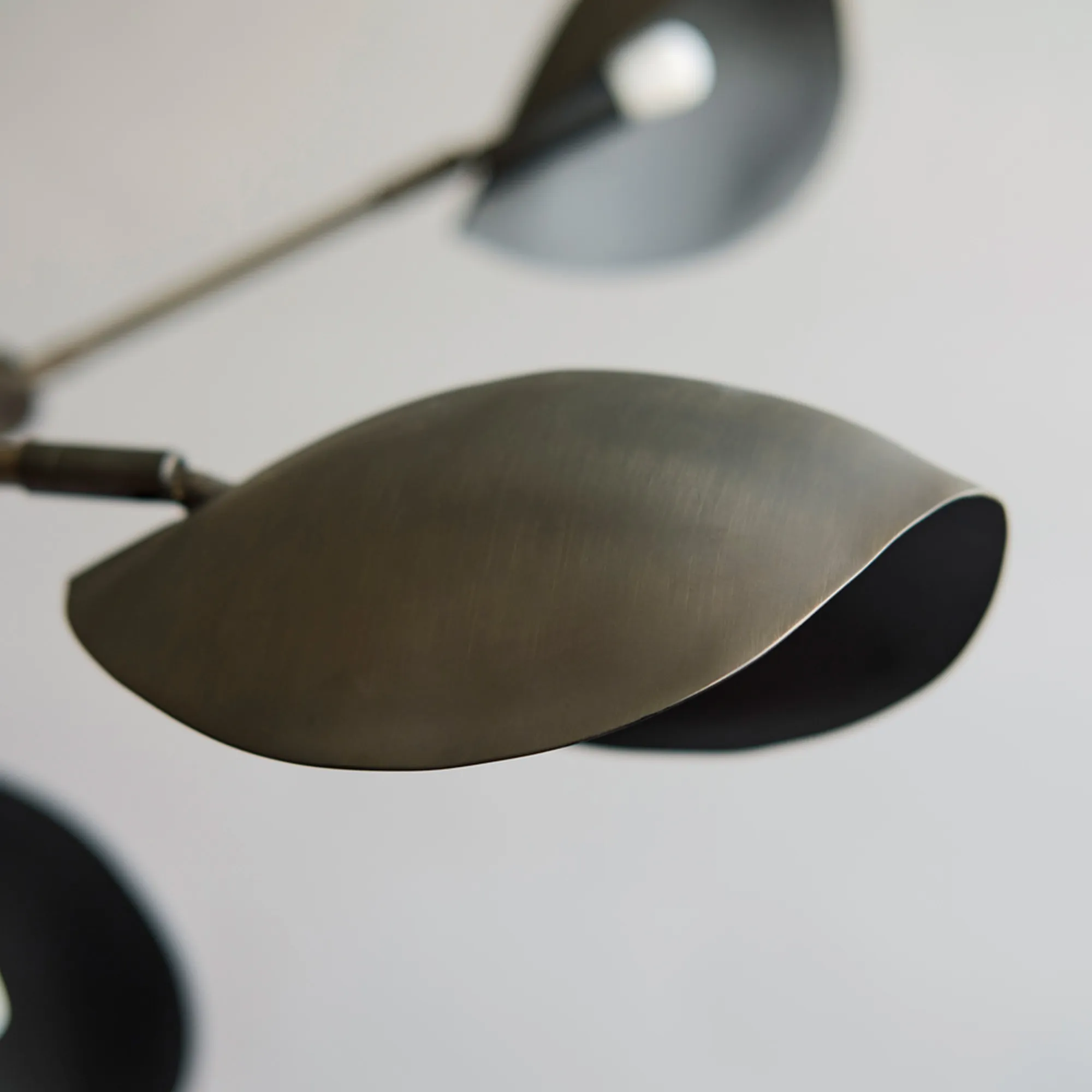 Stingray Chandelier - 2